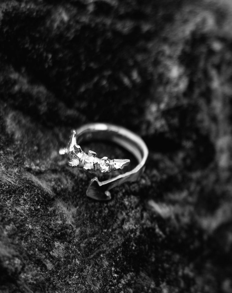 Vertebral Harpoon Ring