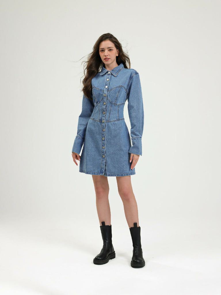 Willa Denim Mini Dress