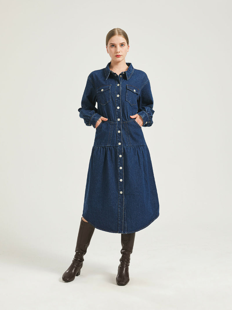 Monica Denim Midi Dress