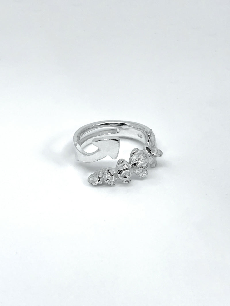 Vertebral Harpoon Ring