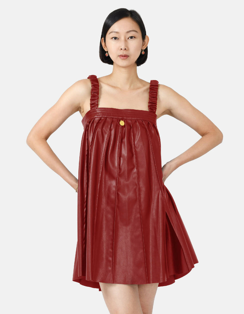 Desire Pleated Mini Dress