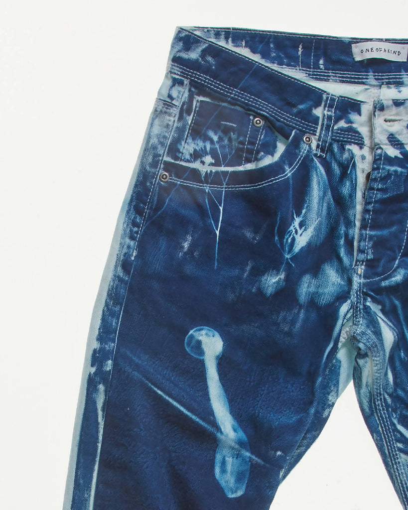 004-26 Cyanotype trousers