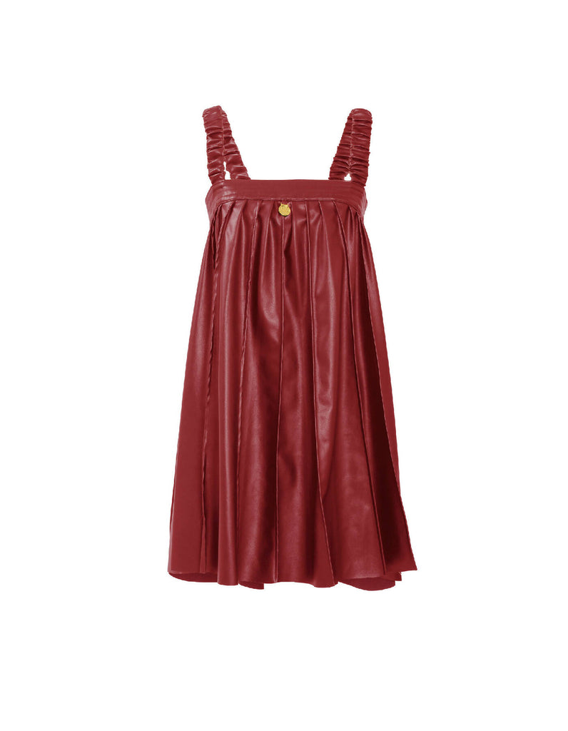 Desire Pleated Mini Dress