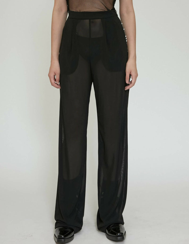 Button Zipper See Through Mesh Trousers